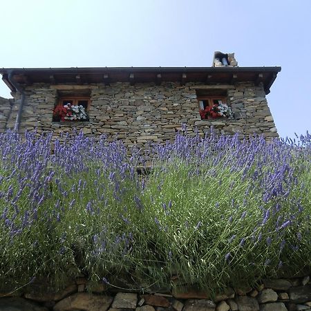 Agriturismo La Fontana Dell'Olmo Hotel Molini di Triora ภายนอก รูปภาพ