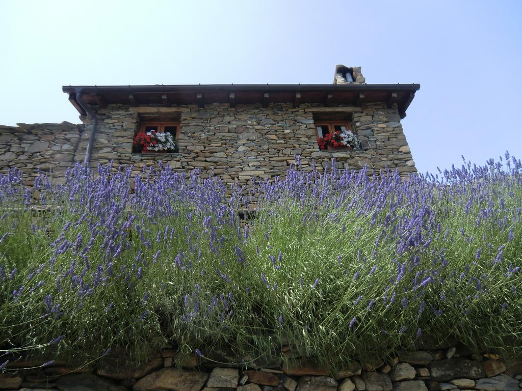 Agriturismo La Fontana Dell'Olmo Hotel Molini di Triora ภายนอก รูปภาพ