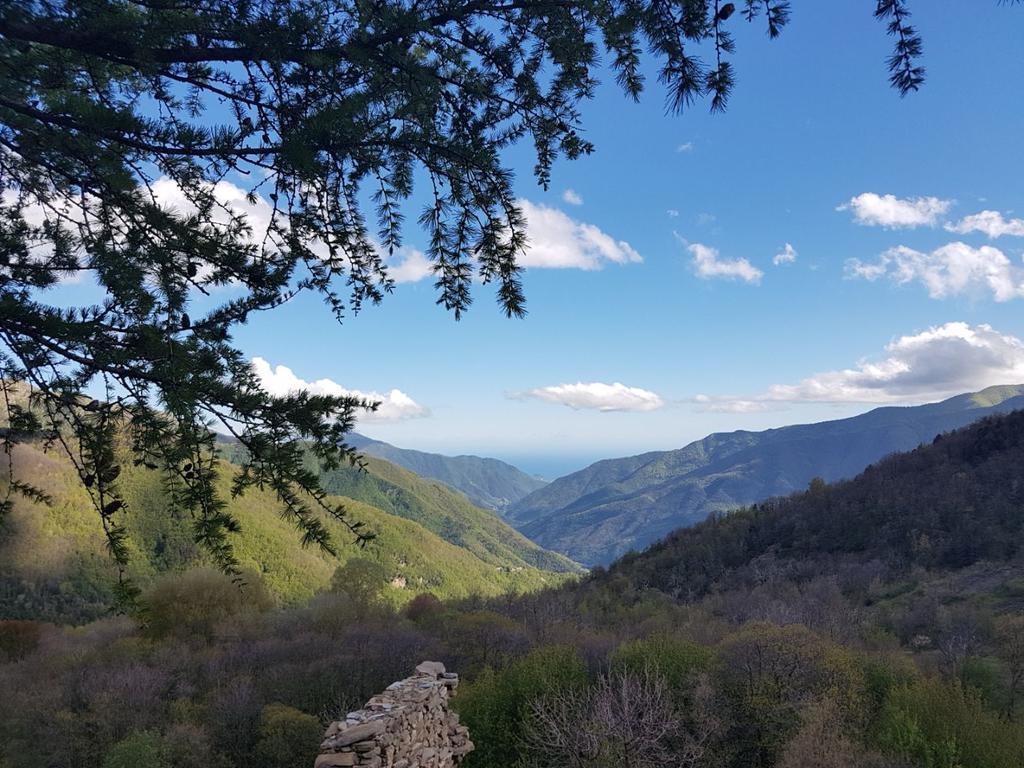Agriturismo La Fontana Dell'Olmo Hotel Molini di Triora ภายนอก รูปภาพ